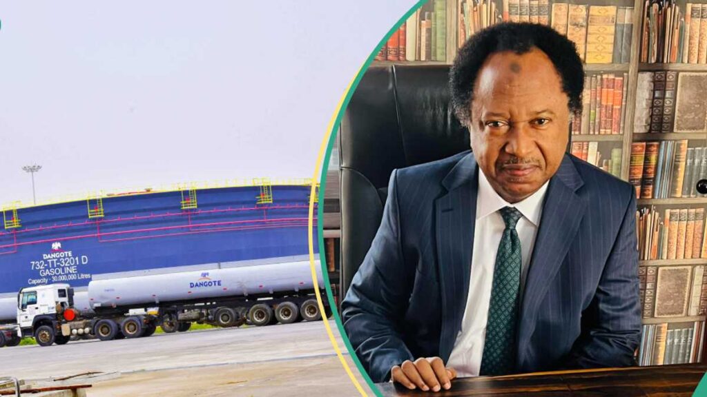Senator Shehu Sani speaking at a press conference, looking serious and concerned. Behind him is a backdrop of the Dangote Refinery and workers protesting with placards. Tension fills the air as the refinery faces a major standoff with union members over workers' rights and mass layoffs.