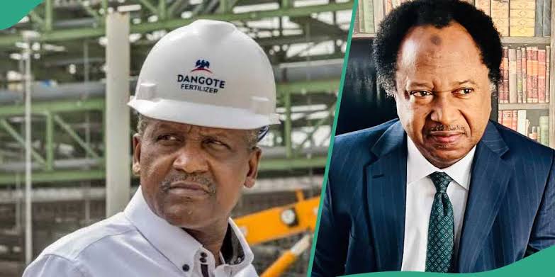 Senator Shehu Sani speaking at a press conference, looking serious and concerned. Behind him is a backdrop of the Dangote Refinery and workers protesting with placards. Tension fills the air as the refinery faces a major standoff with union members over workers' rights and mass layoffs.