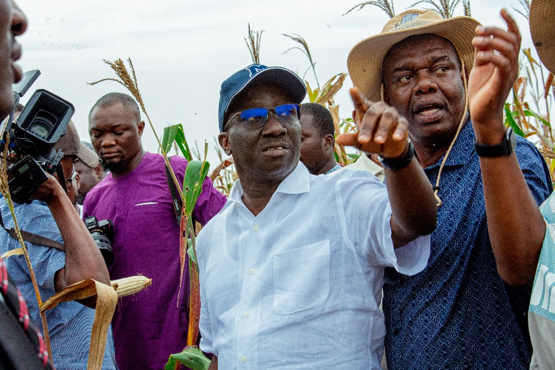 Governor Monday Okpebholo inspecting Udomi Farm in Edo State, highlighting large-scale agriculture and economic diversification efforts.